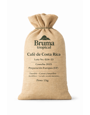 Café vert - Bruma Tropical - Catuai - Durable - 1 kg