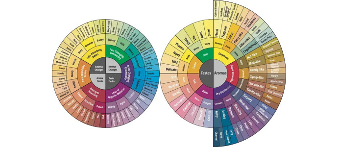 What is a coffee's aromatic profile?