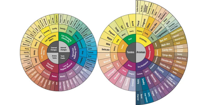 What is a coffee's aromatic profile?