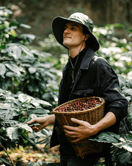 Productor en su cafetal con una canasta de cerezas maduras