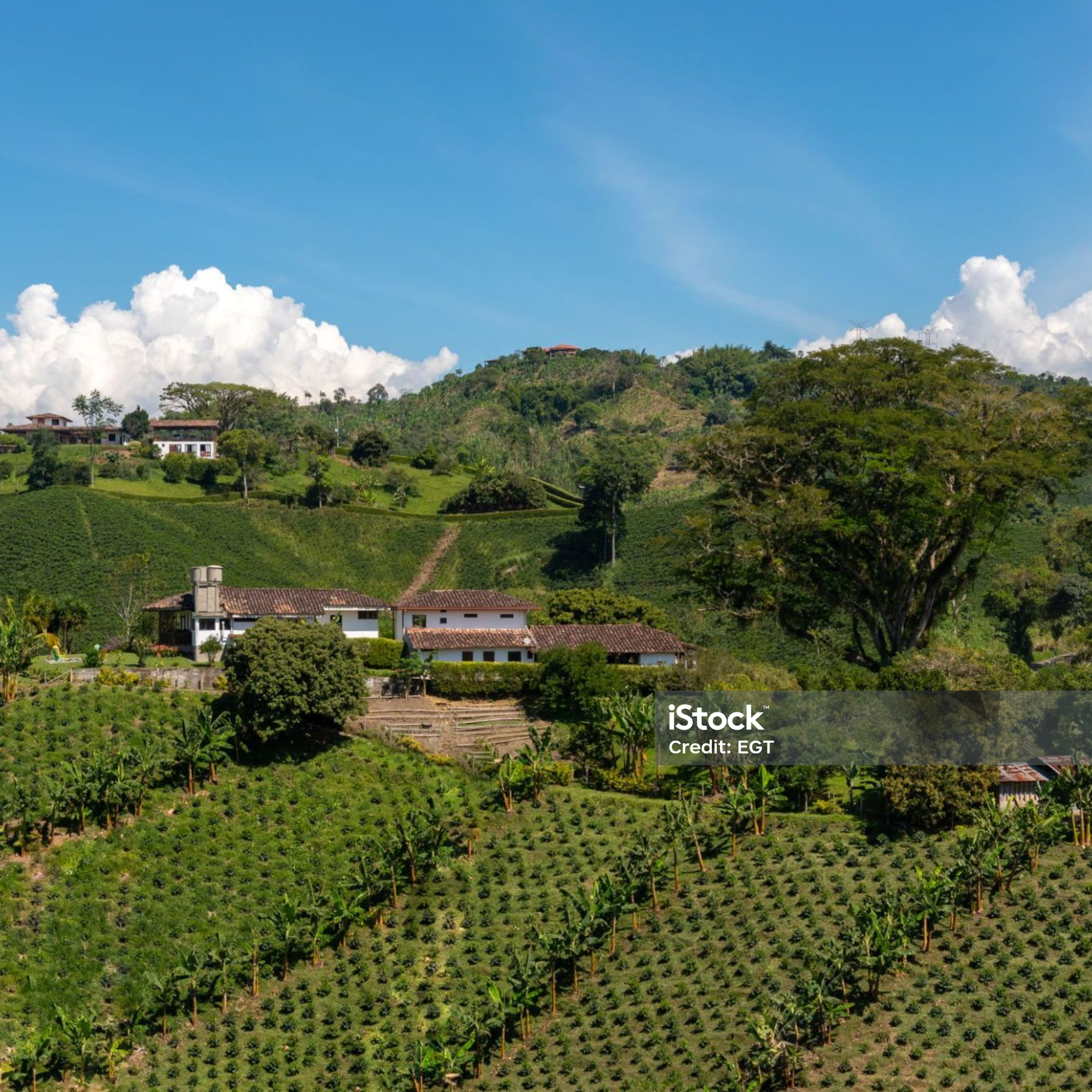 Logo La finca avec un super long mot